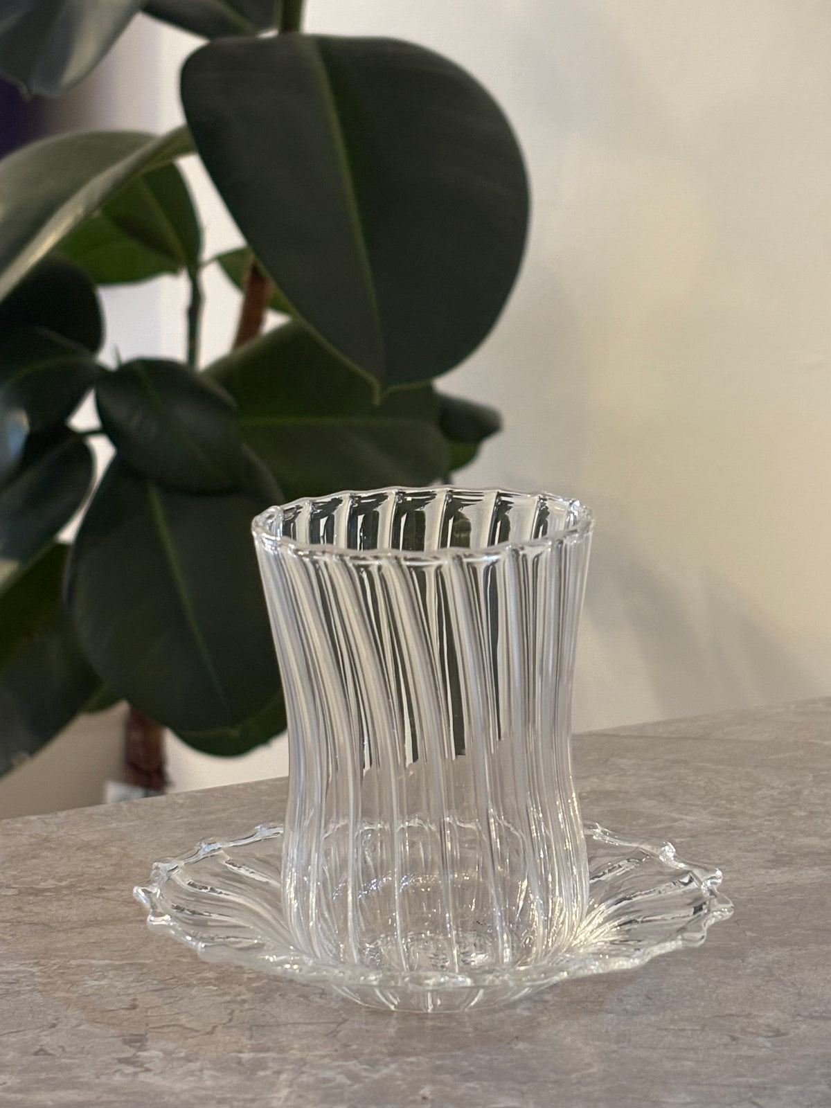 Teegläser Set Gusto| 12-Teilig