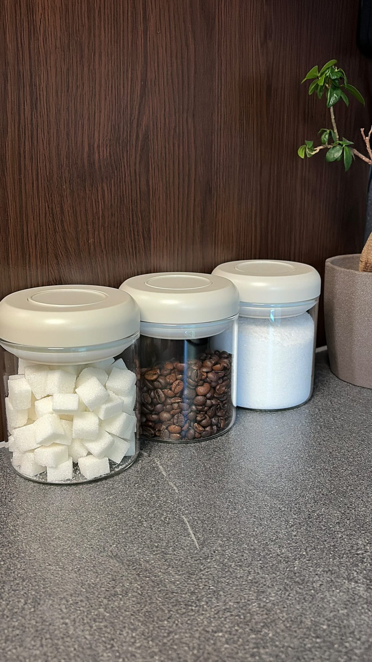 Vorratsgläser-Set Beige mit Deckel – 3-teilig